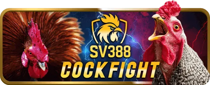 Hướng dẫn rút tiền ff6 win